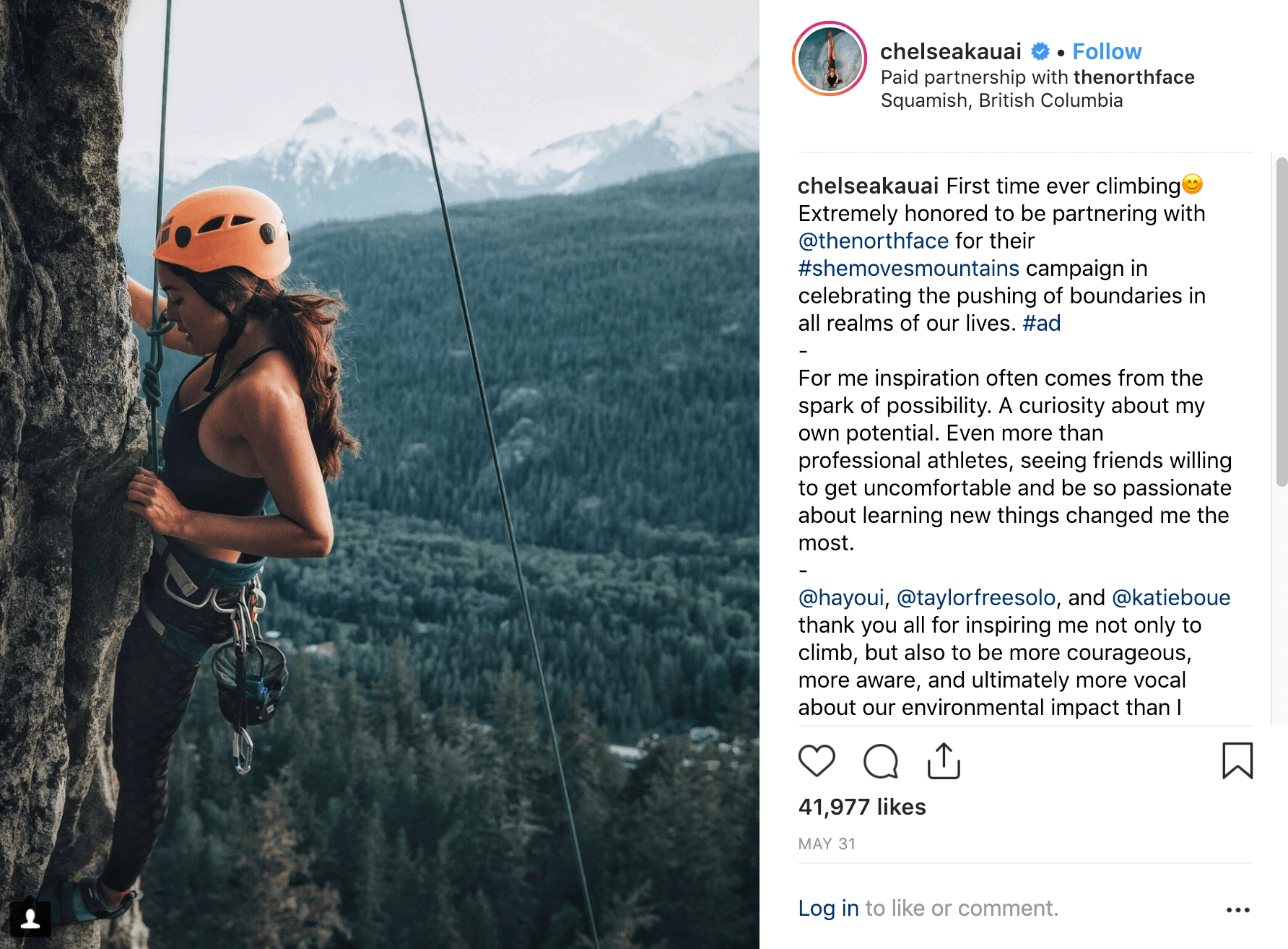 Influencer Marketing Example
